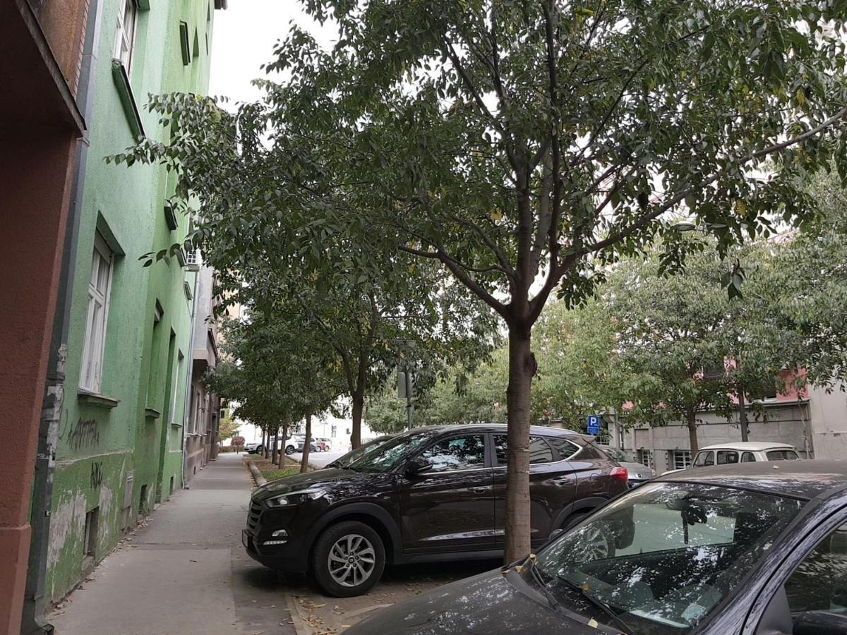 Mia Apartment Újvidék Kültér fotó